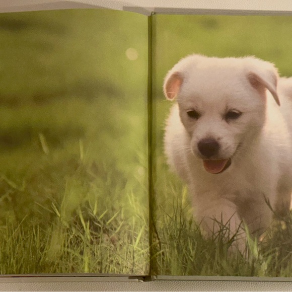 Dogs: From Extremely Large to Very Small • Igloo Books Hardcover Photo Guide - Picture 14 of 16
